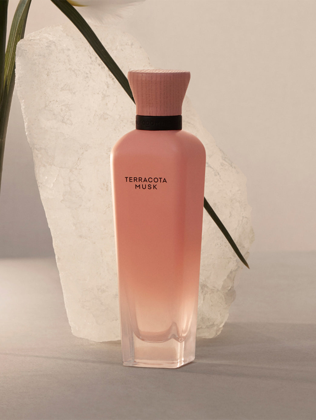 Terracota Musk