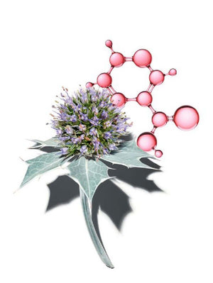 Crema Multi-Activa Día Pieles Secas