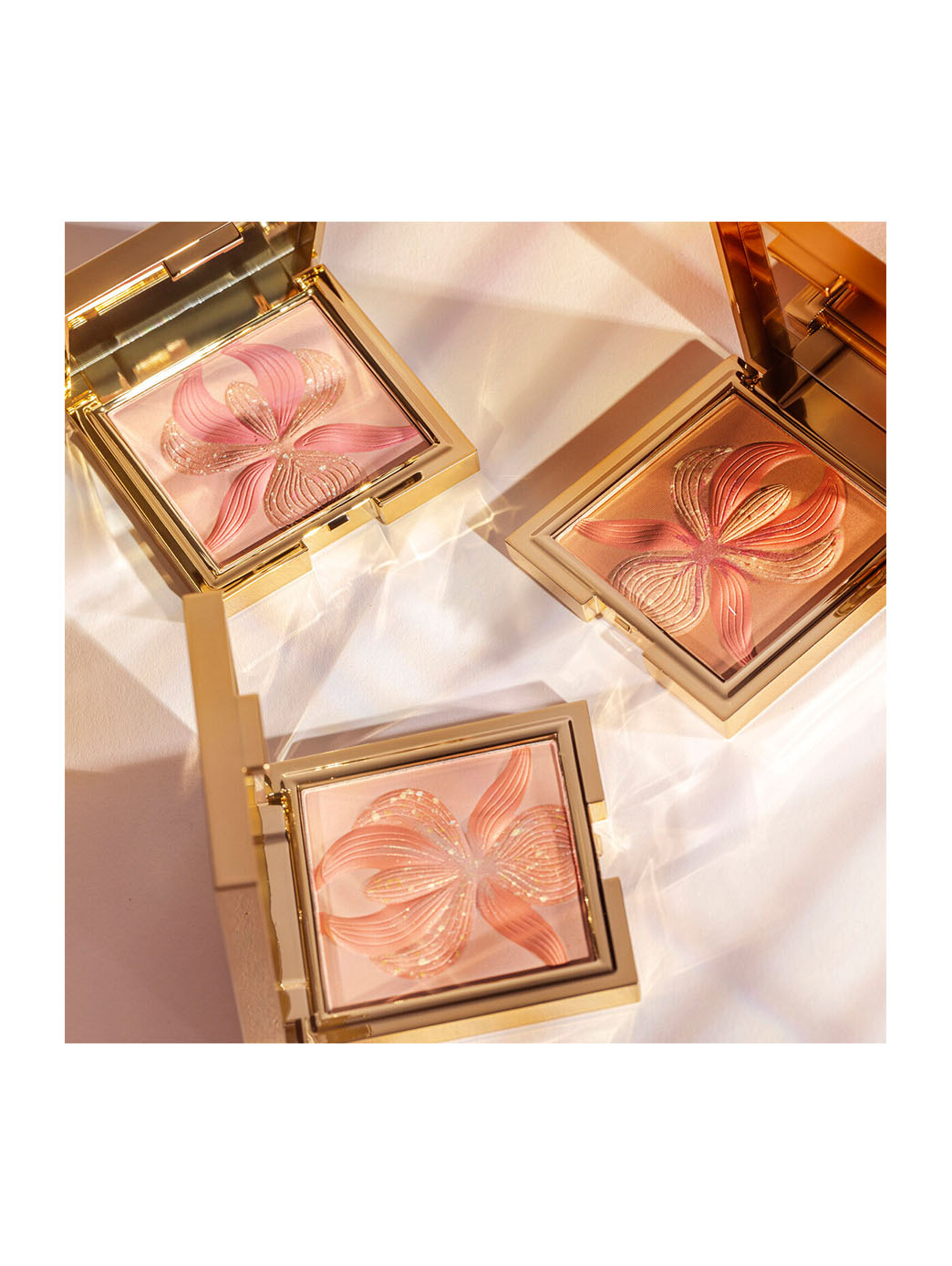 42472861827222 - L''''Orchidée