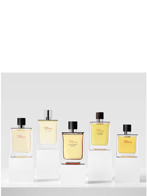 Terre d''''Hermès EDP Intense