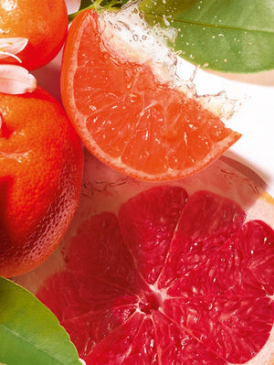 Jean Marie Farina Cofre