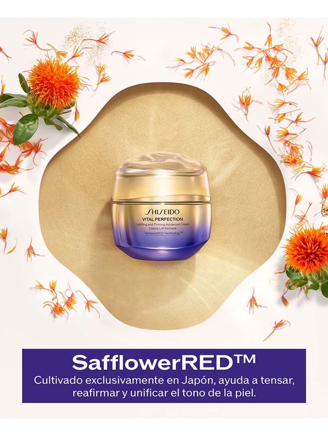Cofre Vital Perfection Advanced