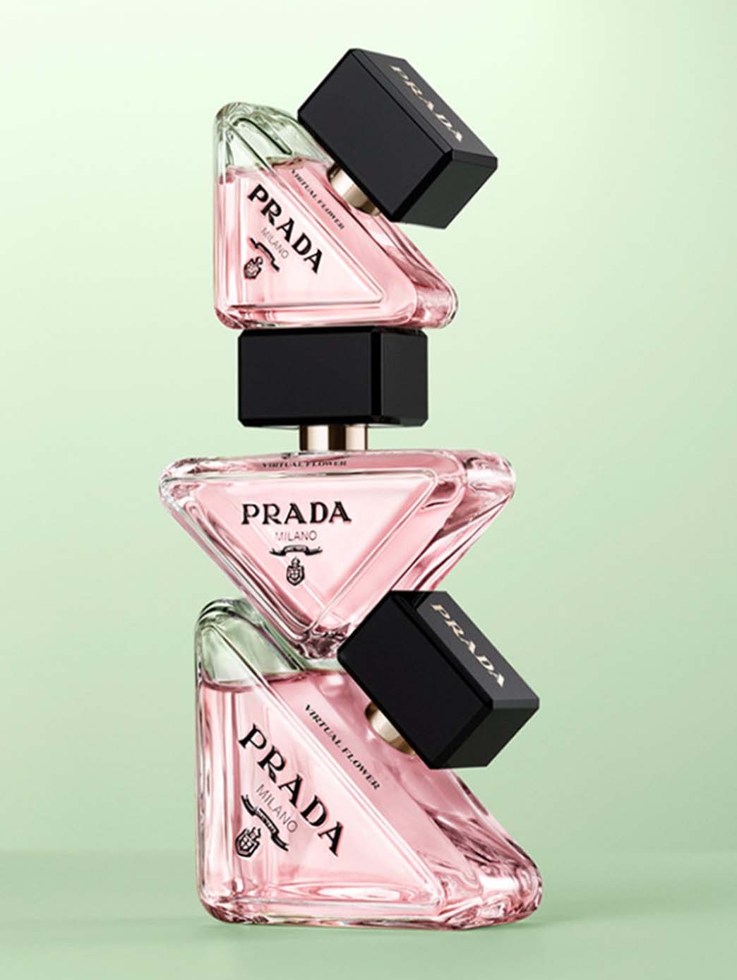 Paradoxe Virtual Flower