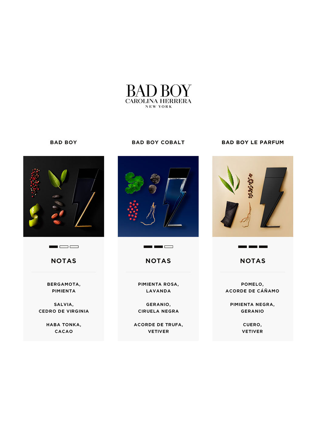 Notas de bad boy sale