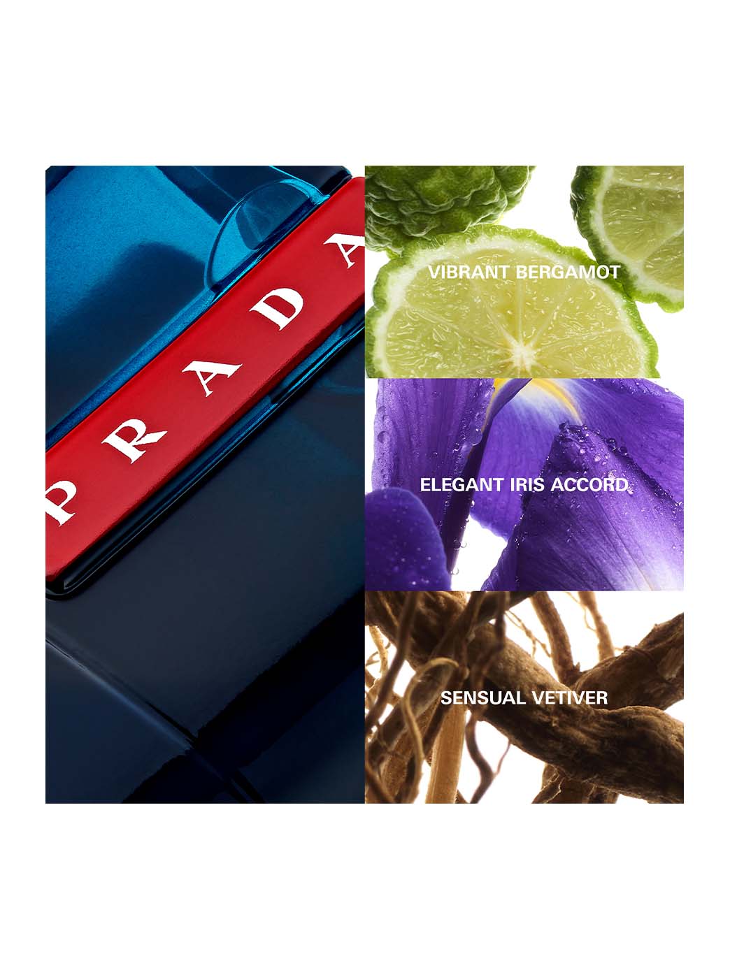 Luna Rossa Ocean EDT