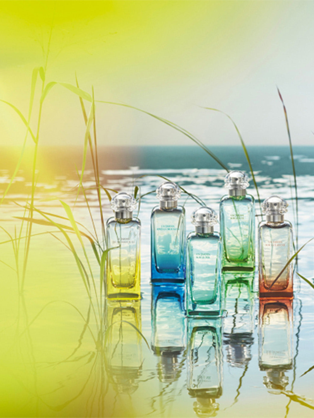 Un Jardin Apres La Mousson – Perfumerías Padilla