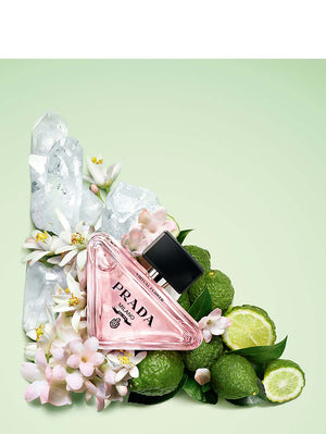 Paradoxe Virtual Flower Refill