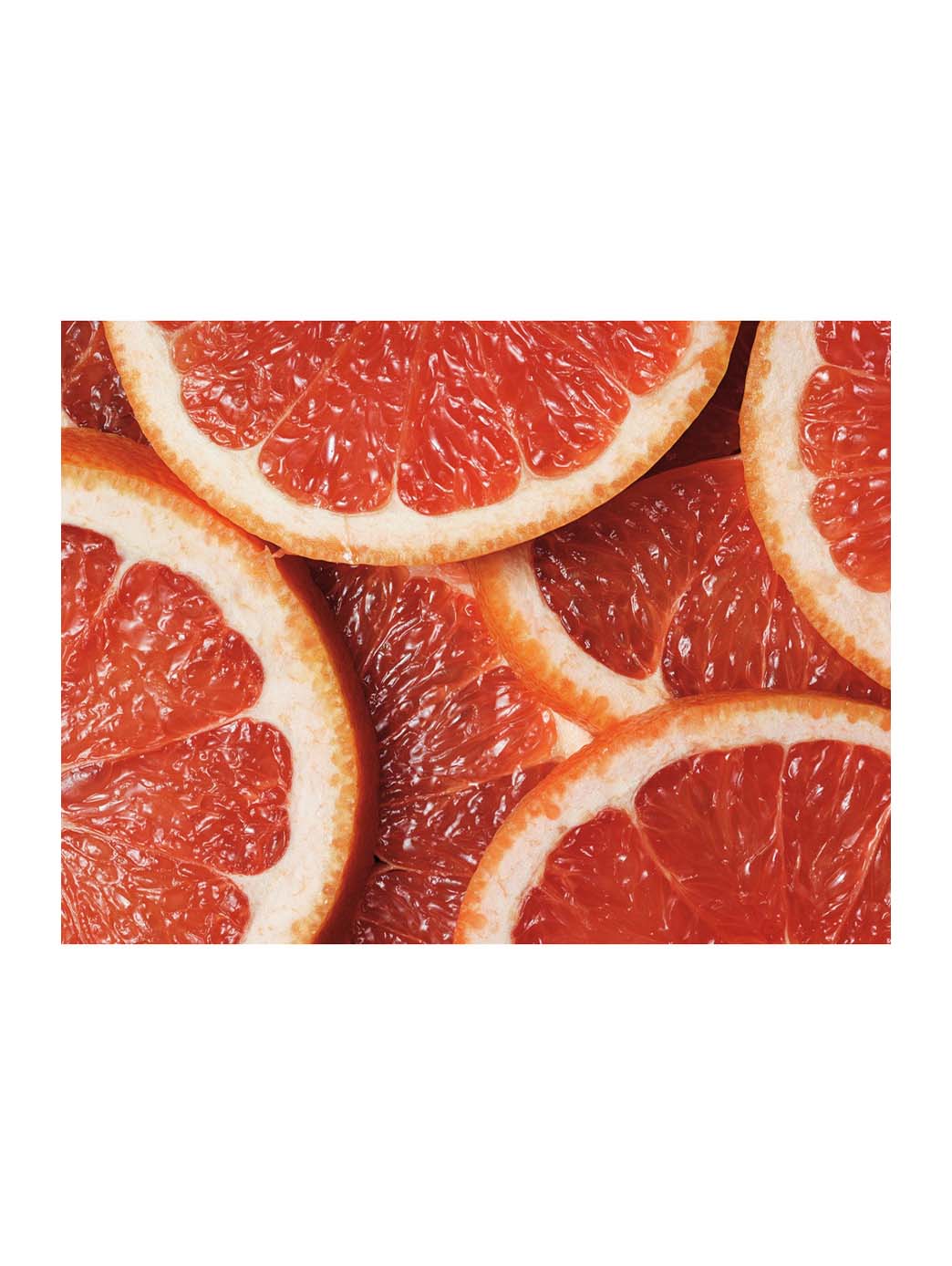 Ralph Lauren Polo Red