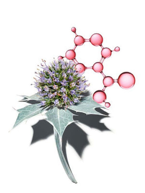 Crema Multi-Activa Noche Pieles Secas