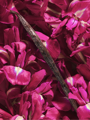 La Vie Est Belle Intensément