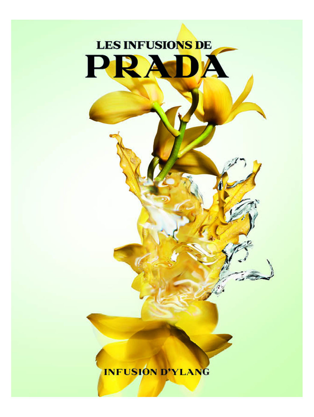 Prada Infusion D''ylang