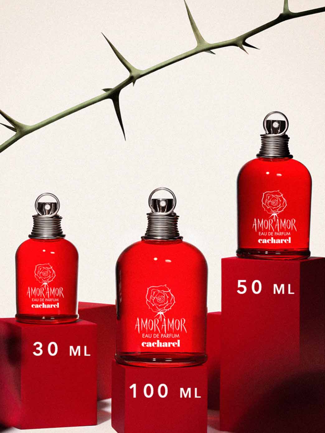 Amor Amor EDP