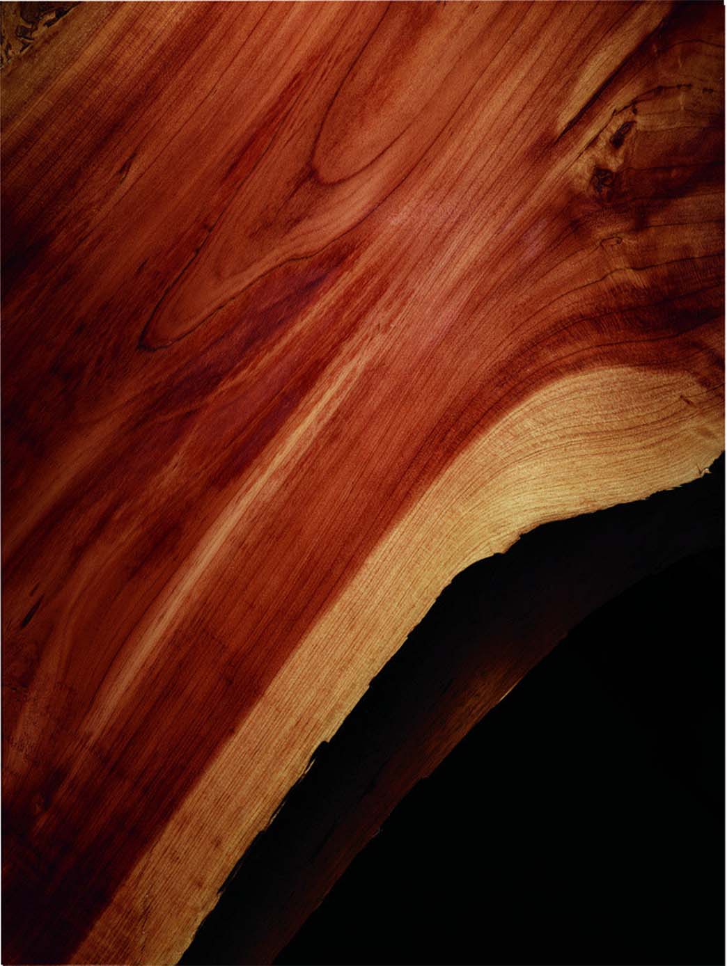 Ralph Lauren Polo Red