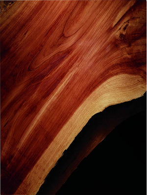 Ralph Lauren Polo Red