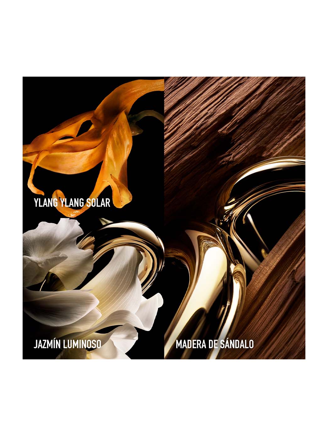 Million Gold For Her Parfum