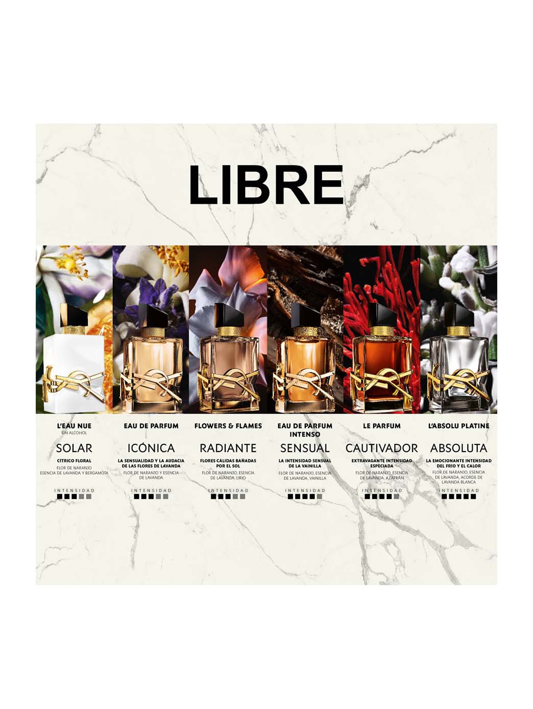 Libre L''''Eau Nue