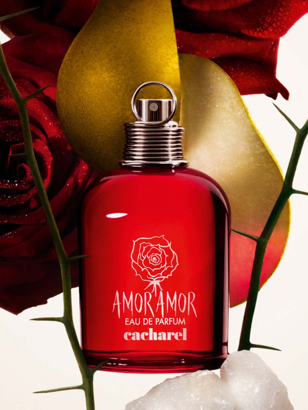 Amor Amor EDP
