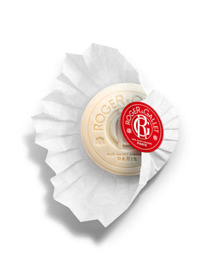 Jean Marie Farina Cofre