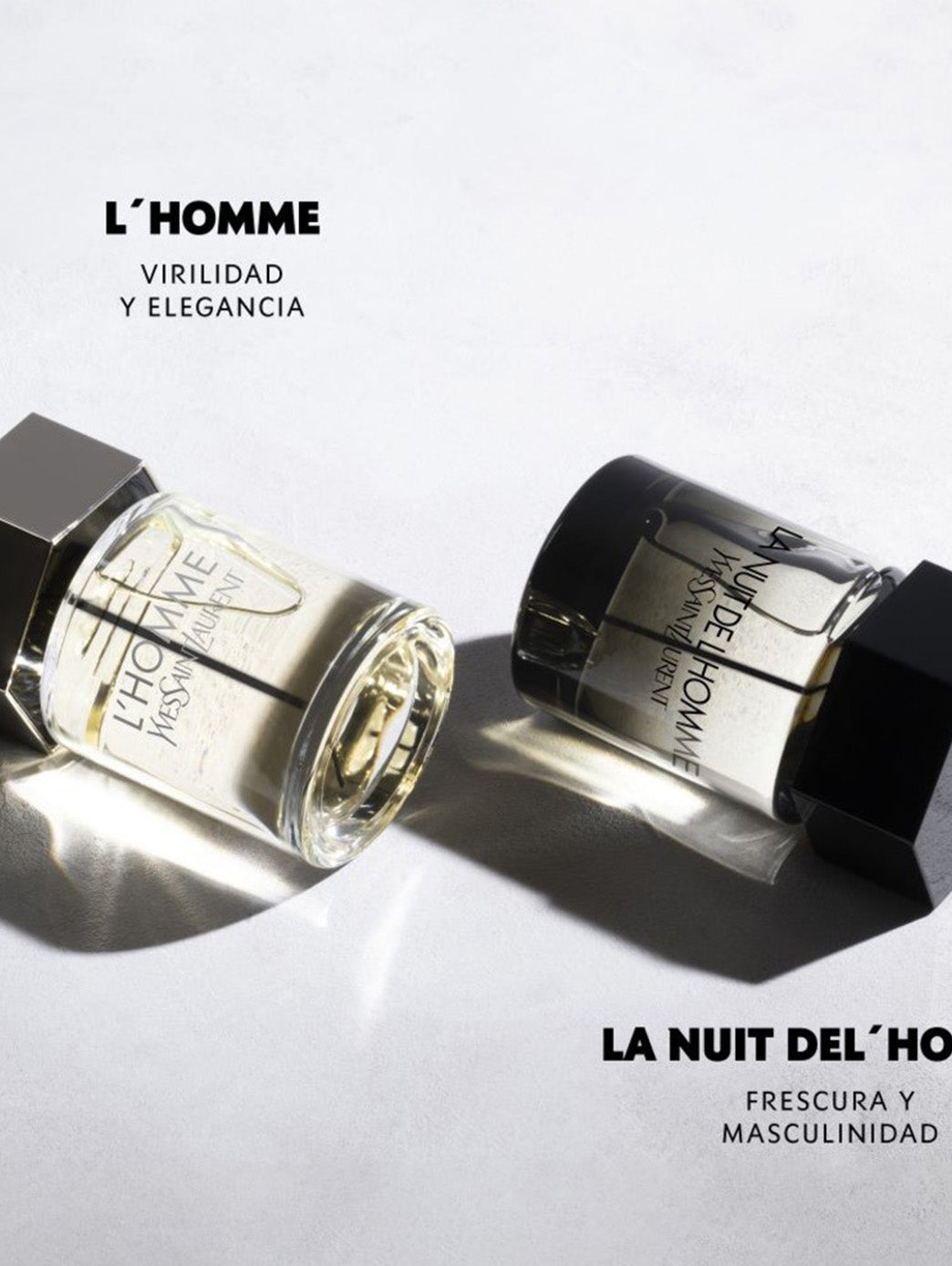 L''''Homme