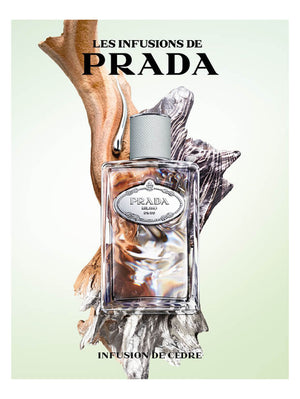 Prada Infusion De Cedre