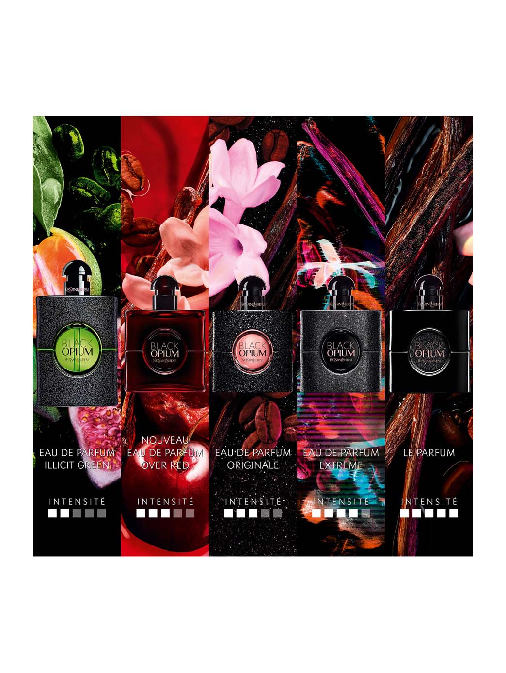 Black Opium Over Red
