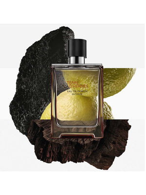 Terre d''''Hermès EDP Intense