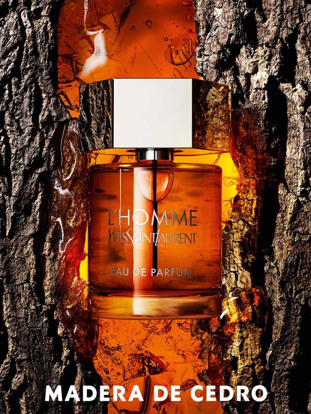 L''Homme YSL Intense