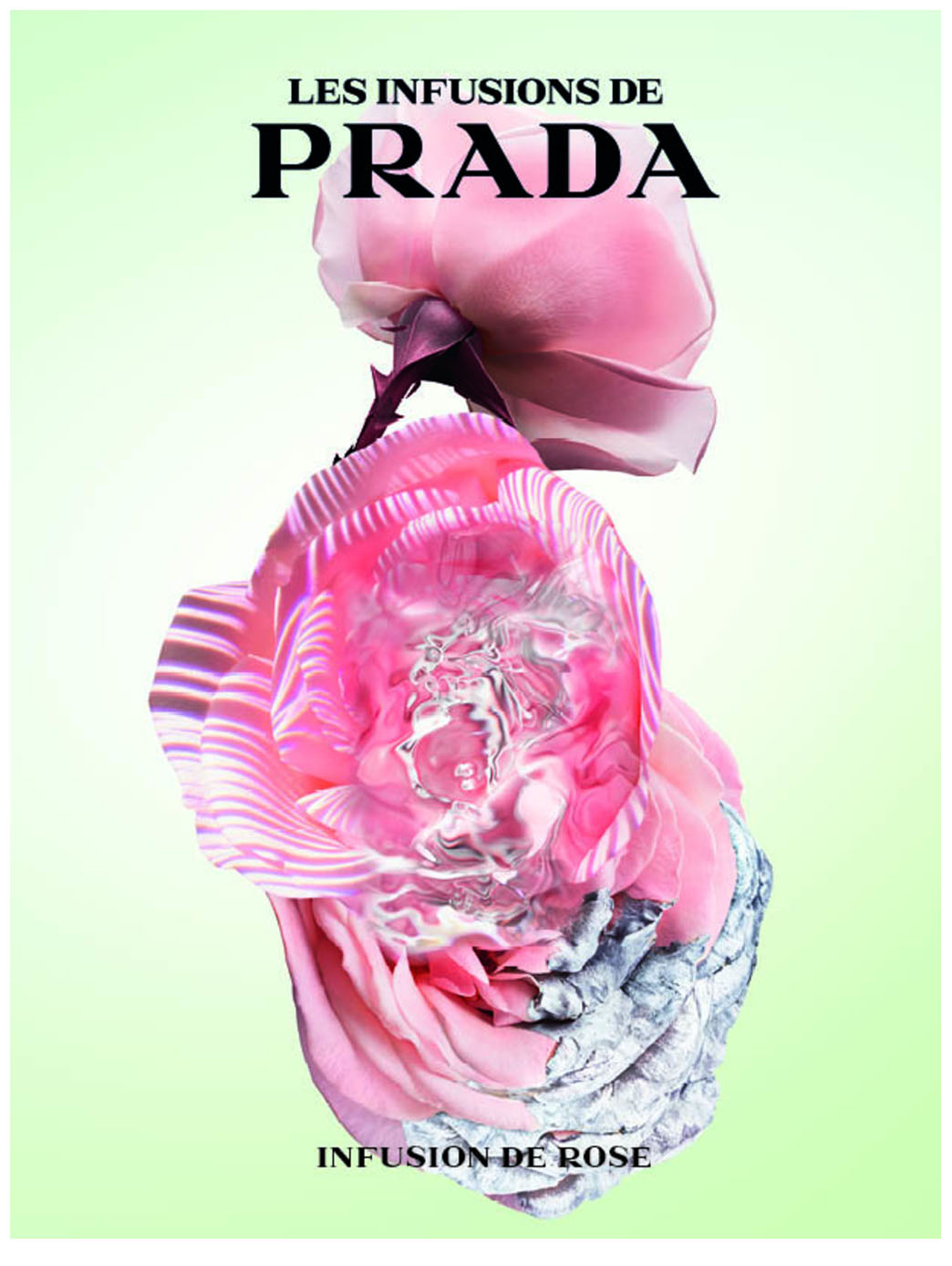 Prada Infusion De Rose