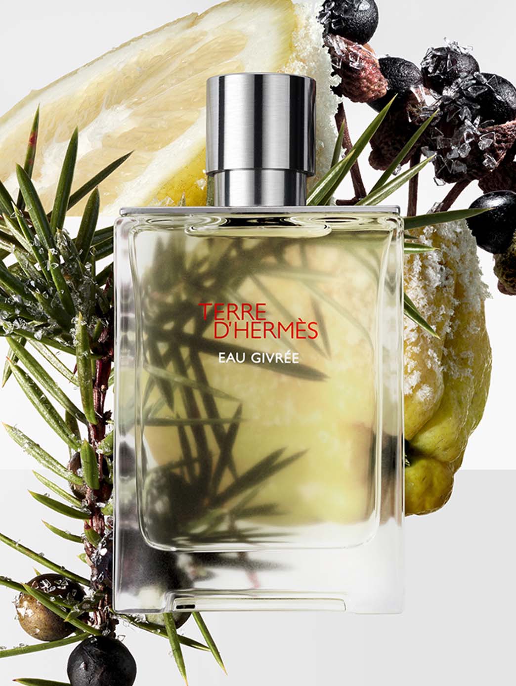 Terre D’Hermès Eau Givrée Refill