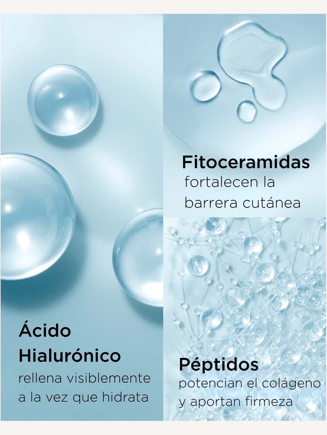 Hyaluronic Acid + Peptides Ceramide Capsules Sérum Hydratant Repulpant