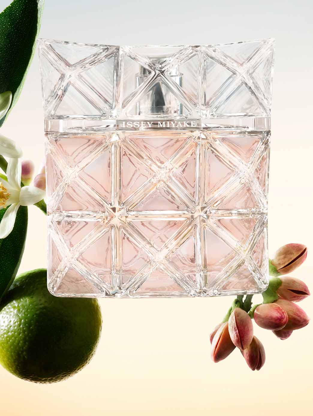 Lumière Refill