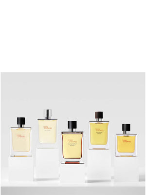 Terre d''''Hermès EDP Intense