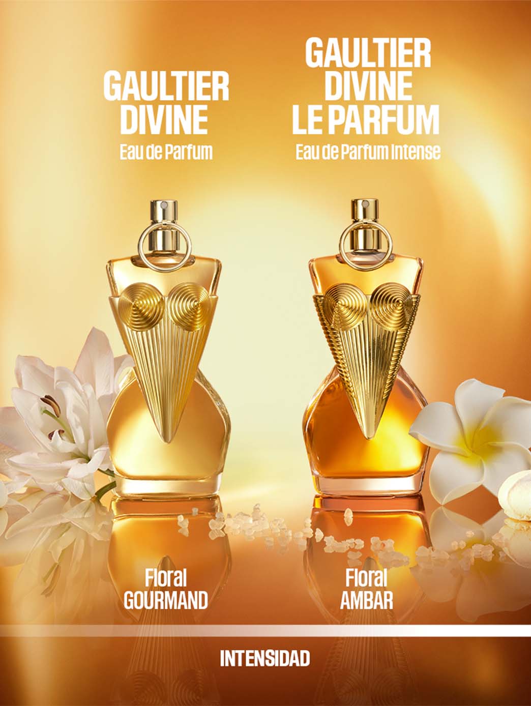 Divine Le Parfum Intense